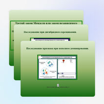Разработка урока: " Решение генетических задач на моногибридное и дигибридное скрещивание"