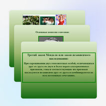 Разработка урока: " Решение генетических задач на моногибридное и дигибридное скрещивание"