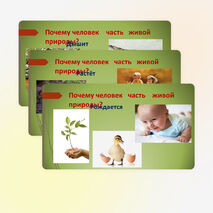 ПРОЕКТ УЧЕНИКОВ 4 КЛАССА "ЧЕЛОВЕК ЧАСТЬ ЖИВОЙ ПРИРОДЫ"