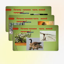 ПРОЕКТ УЧЕНИКОВ 4 КЛАССА "ЧЕЛОВЕК ЧАСТЬ ЖИВОЙ ПРИРОДЫ"