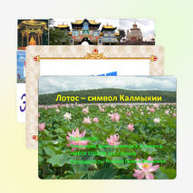 Презентация: «Лотос - символ Калмыкии»