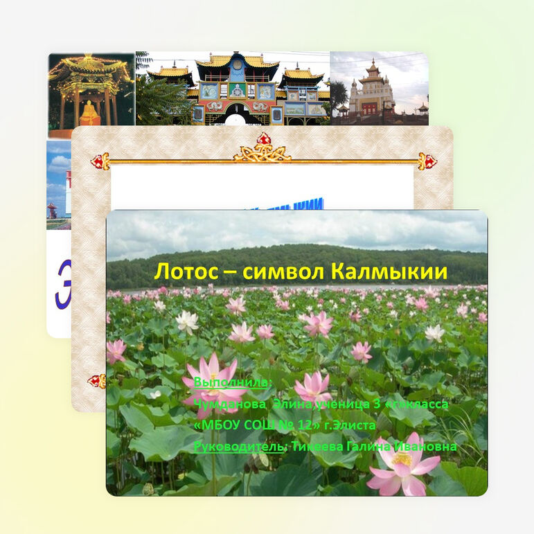 Презентация: «Лотос - символ Калмыкии»