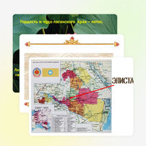 Презентация: «Лотос - символ Калмыкии»