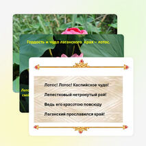 Презентация: «Лотос - символ Калмыкии»