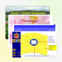 Презентация: «Лотос - символ Калмыкии»