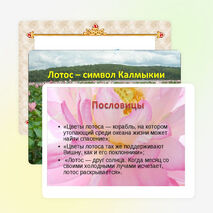 Презентация: «Лотос - символ Калмыкии»