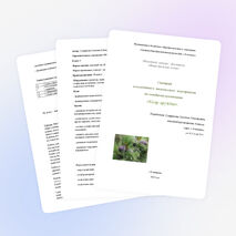 Классный час «Кедр дружбы»