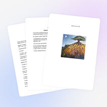 Классный час «Кедр дружбы»