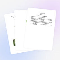 Классный час «Кедр дружбы»