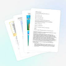 Структурирование упражнений с помощью познавательных стилей.