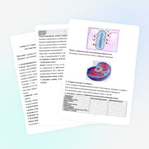 Конспект урока по биологии «Строение клетки»