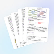 Урок литературного чтения Н. Носов «Заплатка»