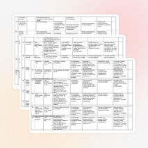 Рабочая программа по окружающему миру. 1 класс.Программа «Школа 2100».