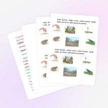 Урок по формированию фонетического восприятия «Дифференциация З-Ж»