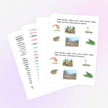 Урок по формированию фонетического восприятия «Дифференциация З-Ж»