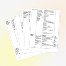 Н и НН в суффиксах прилагательных конспект урока рус.яз. в 6кл.