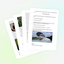 Классный час «Чистота залог здоровья»