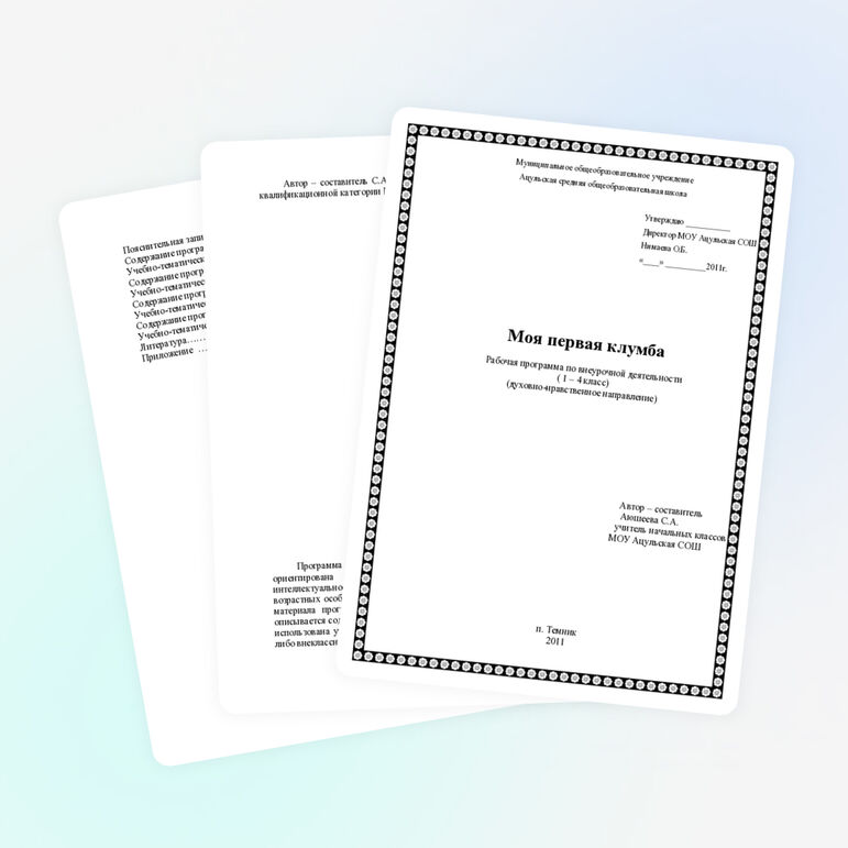 Рабочая программа по внеурочной деятельности