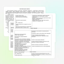 Рабочая программа по русскому языку 5 класс