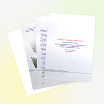 Творческая работа с конкурса "The bright pages of my summer diary"