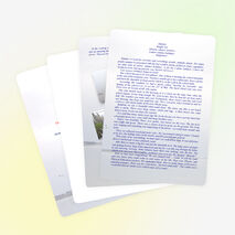 Творческая работа с конкурса "The bright pages of my summer diary"