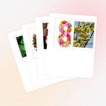 План проведения внеклассного мероприятия