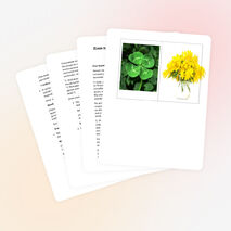 План проведения внеклассного мероприятия