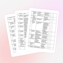 РАБОЧАЯ ПРОГРАММА по русскому языку 3 класс ПНШ Р. Г. Чураковой.