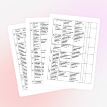 РАБОЧАЯ ПРОГРАММА по русскому языку 3 класс ПНШ Р. Г. Чураковой.