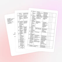 РАБОЧАЯ ПРОГРАММА по русскому языку 3 класс ПНШ Р. Г. Чураковой.