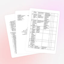 РАБОЧАЯ ПРОГРАММА по русскому языку 3 класс ПНШ Р. Г. Чураковой.