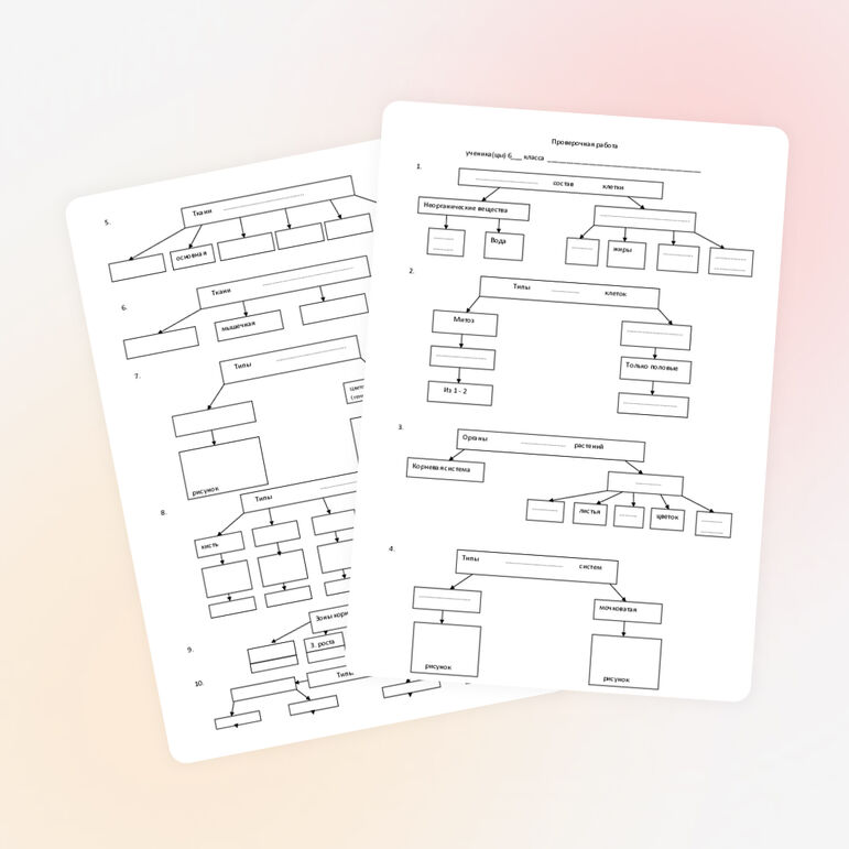 Проверочная работа "Строение клеток и организмов" 6 класс биология Сонин Н.И. на тему