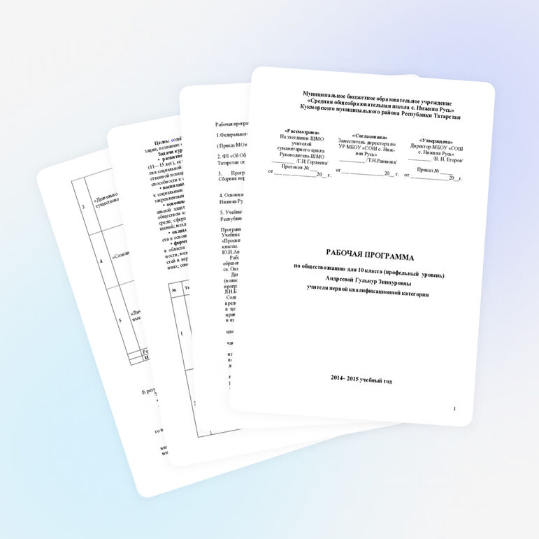 Рабочая программа по обществознанию для 10 класса ( профильный уровень)