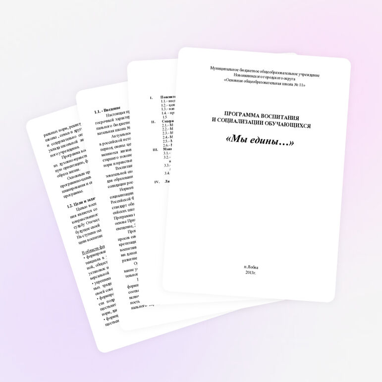 ПРОГРАММА ВОСПИТАНИЯ И СОЦИАЛИЗАЦИИ ОБУЧАЮЩИХСЯ «Мы едины…»
