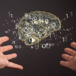 Обложка курса 'Основы нейроэкономики'