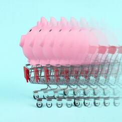 Обложка курса 'Нейроэкономика:рациональное и иррациональное поведение потребителей'