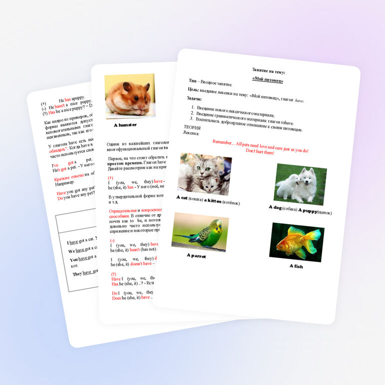 Конспект урока по английскому языку для младших школьников «Мой питомец»