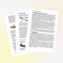 Научная работа «Трехмерная опасность или обман разума»