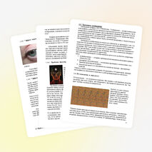 Научная работа «Трехмерная опасность или обман разума»