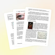 Научная работа «Трехмерная опасность или обман разума»