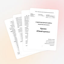 Рабочая программа внеурочной деятельности младших школьников «Юный краевед»