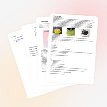 Информационный кейс по химии на тему «Сера» для 9 класса