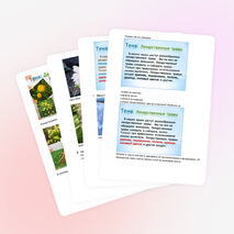 Конспект урока башкирского языка для 5 класса «Лекарственные травы. Глагол»