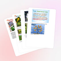 Конспект урока башкирского языка для 5 класса «Лекарственные травы. Глагол»