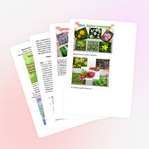 Конспект урока башкирского языка для 5 класса «Лекарственные травы. Глагол»