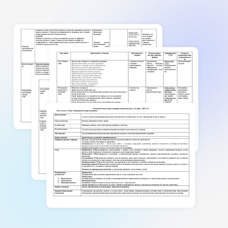 Внеурочное занятие по экологии «Сосна. Определение возраста дерева.»