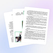 Семинарское занятие по теме «Человек на войне»