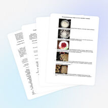 Урок технологии в 7 классе «Мучные изделия. Технология приготовления изделий из пресного теста.