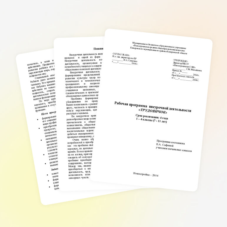 Рабочая программа внеурочной деятельности социального направления 