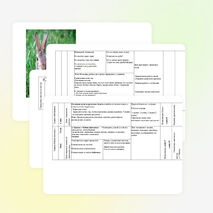 Нетрадиционный урок развития речи и ознакомления с окружающим миром «Путешествие по лесу» в 1-м классе